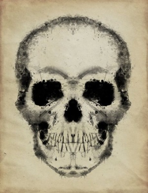 Skull by dyftiryf-d4cwt5j.jpg